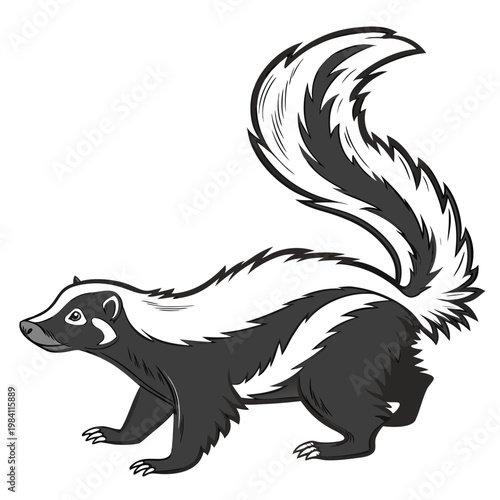 Illustration of a striped skunk walking with a large bushy tail side view