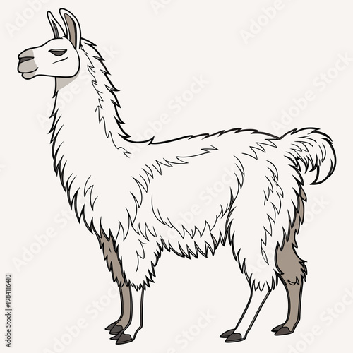 Cartoon white llama standing profile vector illustration domestic animal
