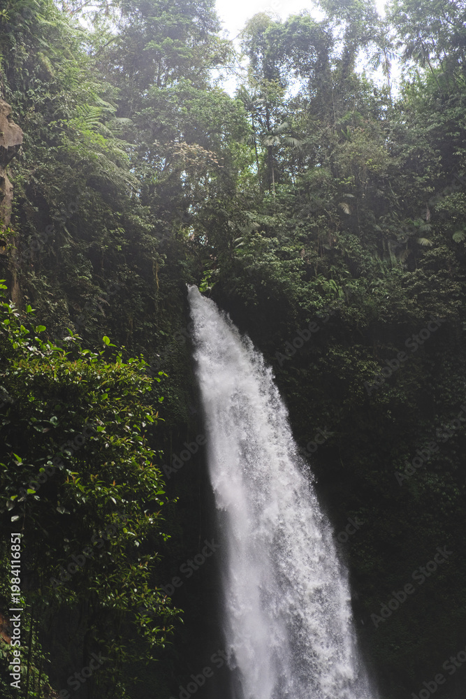 Fototapeta premium Powerful waterfall cascading through dense tropical jungle in Bali