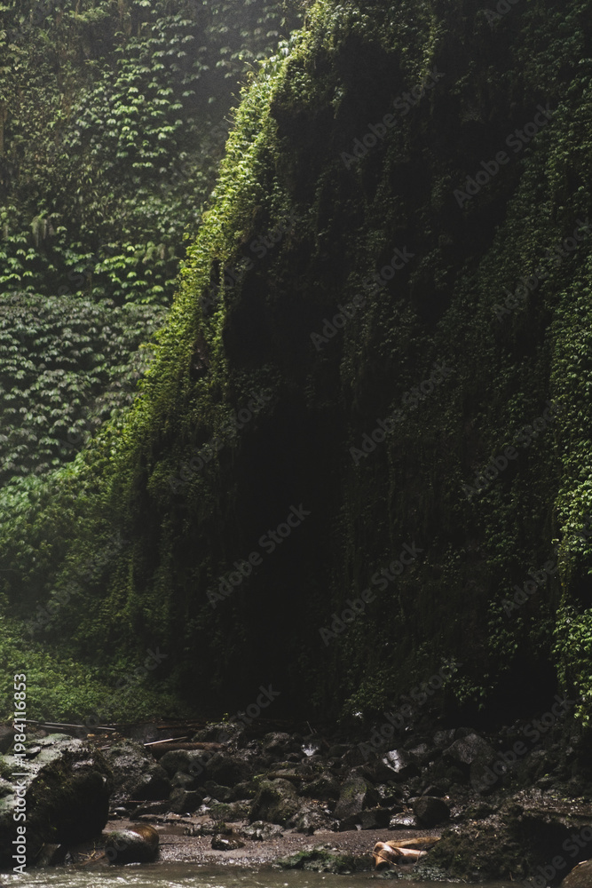 Fototapeta premium Dark mossy canyon walls covered in tropical vines in Bali jungle