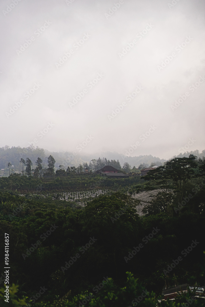 Fototapeta premium Misty tropical hillside village with farmland and traditional houses