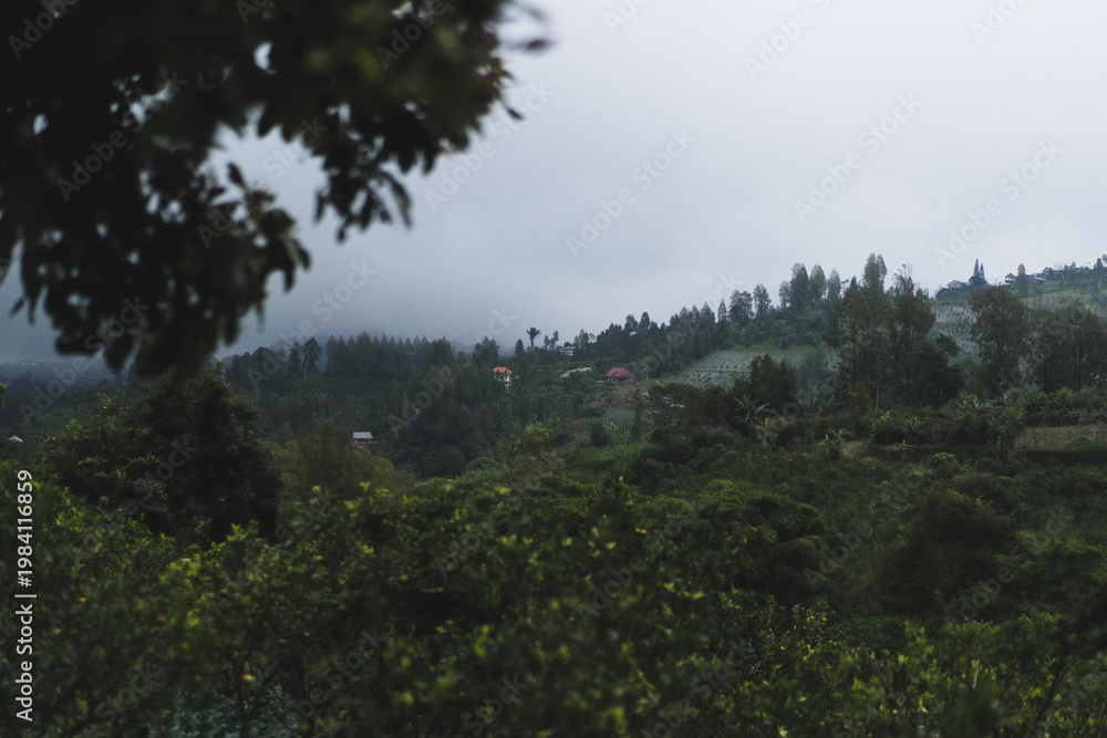 Fototapeta premium Dark moody tropical village on misty hillside, jungle foliage