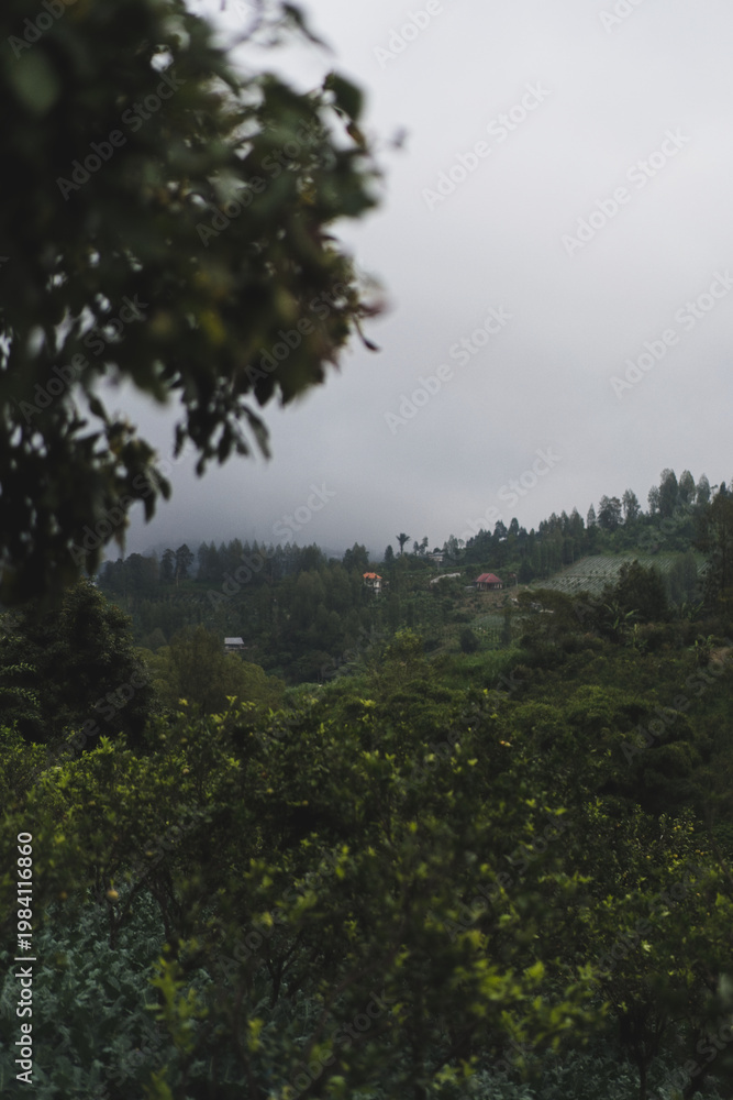 Fototapeta premium Tropical hillside with village homes framed through blurred foliage