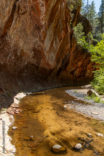 Bild auf Leinwand Shallow waterway under rock cliff overhang in wilderness vertical