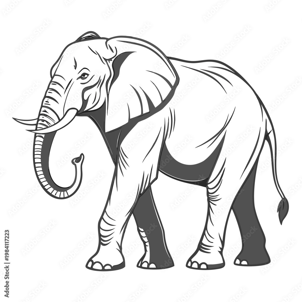 Fototapeta premium African elephant line art illustration standing side view vector graphic