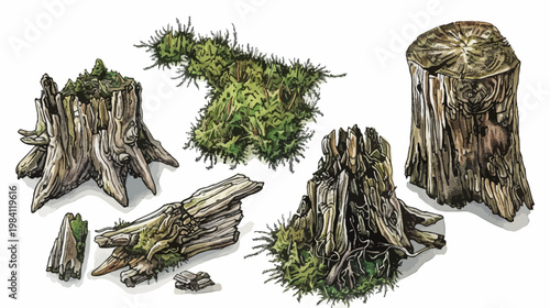 Collection of sketched tree stumps, moss patch, and weathered wood pieces on white