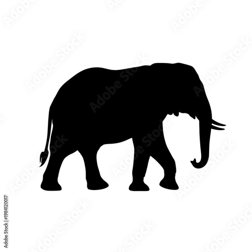 Black Silhouette of an African Elephant Walking