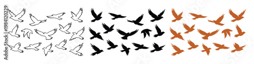 Flying birds silhouette collection, 36 vector icons of seagulls and pigeons in flight, black and brown bird outlines for nature design