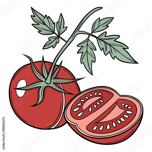 Fresh red tomato whole and halved with green leaves hand drawn vector, vegetable
