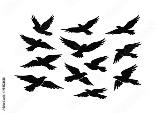 Siluetas de aves volando, conjunto vectorial de pájaros en vuelo, diseño minimalista de aves migratorias, elementos gráficos de la naturaleza para proyectos de diseño y branding.