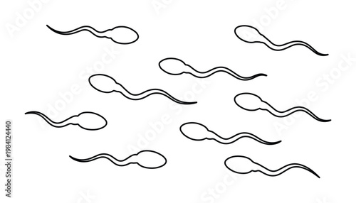 Human sperm cells, microscopic male reproductive elements, biological fertility and conception vector illustration, medical science and health graphic resource.