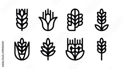 Set of grain icons wheat ears and corn simple vector symbols black and white line art agriculture collection silhouette foodstuff botanical