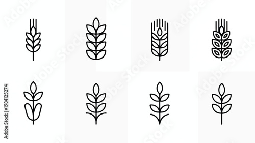 Collection of wheat ear and cereal icons simple outline vector graphics line art black and white agriculture collection botanical foodstuff