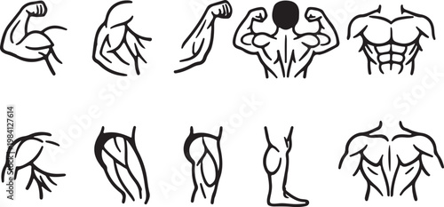 Bodybuilder muscles vector illustration. Bodybuilder parts icons Muscles, linear style icons set.