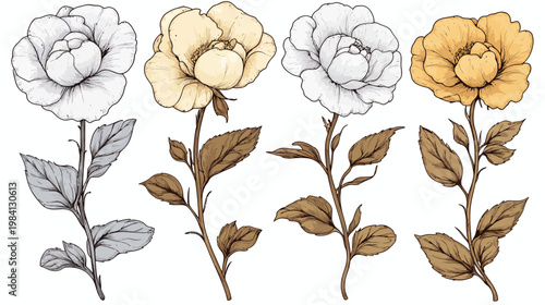 Four stylized illustrations of floral stems with blossoms and leaves, in varying color palettes