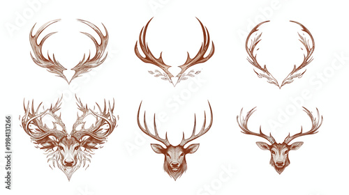 Watercolor illustrations of deer antlers and heads in different designs on a white background