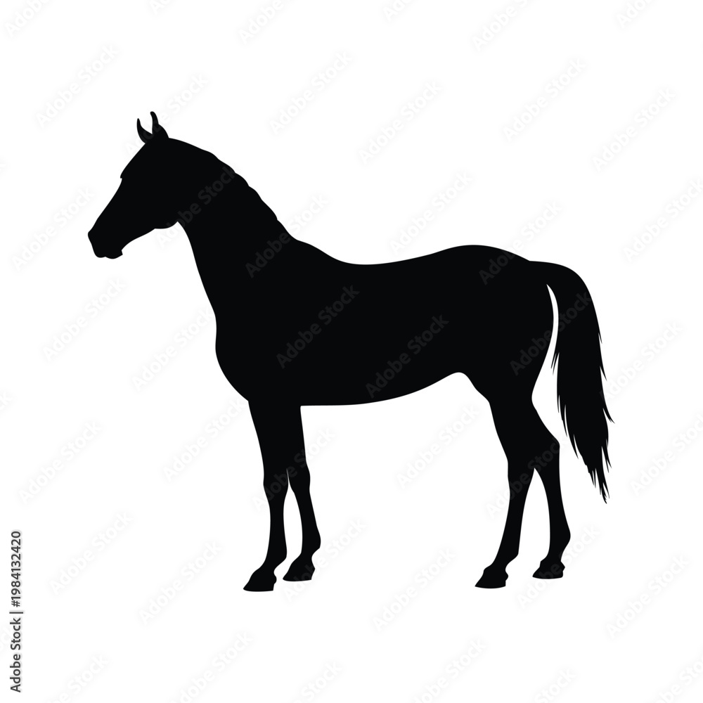 Obraz premium Black and white horse silhouette vector illustration flowing mane and tail design, horsesilhouette vector illustration