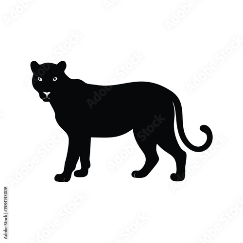 Silhouette of a majestic black panther standing on all fours in a dynamic pose, vector illustration, leopard silhouette vector illustration