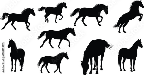 Collection of Eight Black Horse Silhouettes in Various Dynamic Poses Isolated on White Background