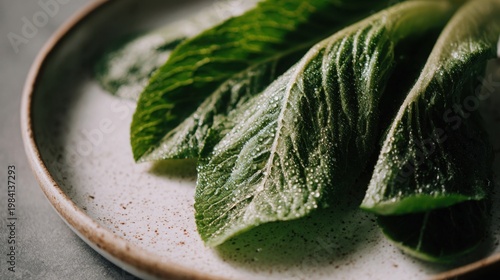 Close up detail of fresh, dewy romaine lettuce leaves on a speckled plate, showcasing vibrant green texture.