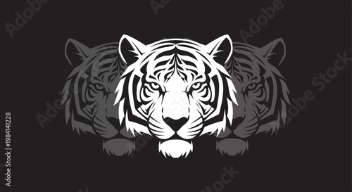 A white tiger head illustration with two gray tiger heads behind on a black background