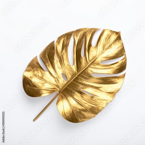 Golden, glossy, split leaf philodendron on a stark white background