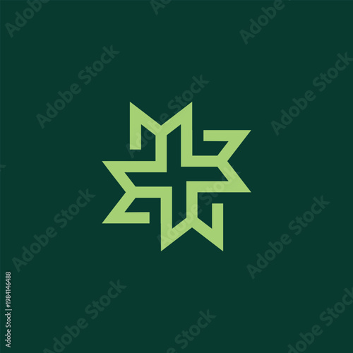 Abstract Star leaf logo. leaf icon dynamic green color nature