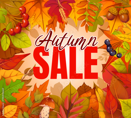 Autumn season sale banner with bold typography framed by maple, oak and orange fall leaf, rowan berry, acorn, mushroom and wheat ear. Seasonal vector promotion with warm foliage border and harvest