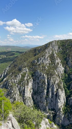 Mountain river in a canyon against a background of green forest and blue sky