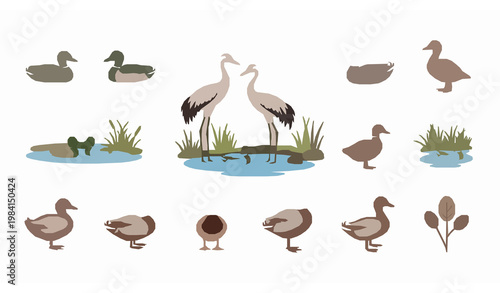 Foto Duck pond flat vector nature water bird scene set