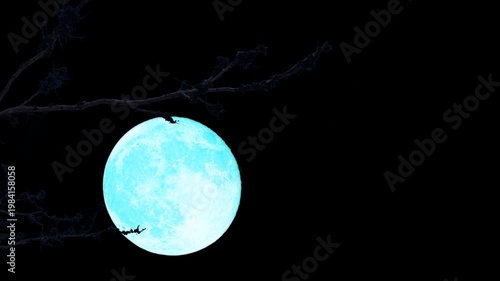Super full blue moon rise back silhouette top trees on the night sky time lapse