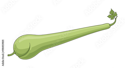 An illustrative depiction of a long, slender bottle gourd, also known as calabash, with its smooth light green skin and a small leafy tendril at the top, emphasizing its fresh and natural state.