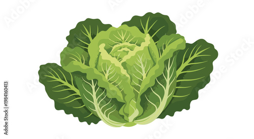 A vibrant, compact head of fresh green iceberg lettuce, with its characteristic crisp leaves, widely favored for salads and sandwiches.