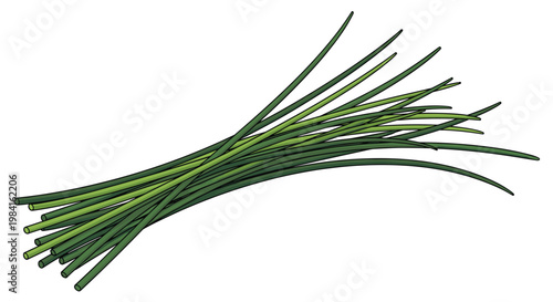 A simple yet elegant bunch of fresh chives, showcasing their slender green stalks, perfect for adding a delicate onion flavor to dishes.