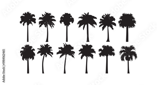 Palm tree silhouette vector set. tropical tree collection. beach and summer vacation elements.
