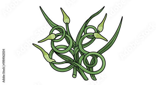 A whimsical bundle of garlic scapes, with their long, curly green stalks and unopened flower buds, prized for their mild garlic flavor.