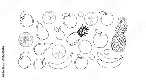 Variety of fresh fruits hand drawn illustration set for healthy eating and natural food product advertising.