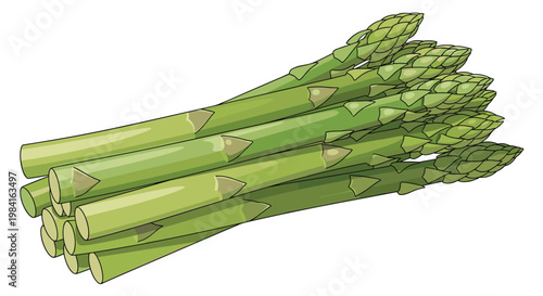 A neatly stacked bundle of fresh green asparagus spears, showcasing their vibrant color and tender tips, a popular spring vegetable.