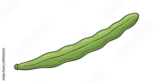 A single long, green string bean, also known as a green bean or snap bean, showcasing its slender and slightly curved form, ready for cooking.