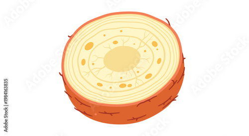 A perfectly halved sweet potato, revealing its starchy, pale orange interior and fibrous texture, highlighting this versatile root vegetable.