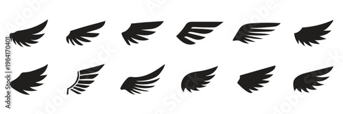 Wings with long feather. Angel or bird wing flat black icon set. Aviation pilot patch badge. Heraldic vintage army insignia emblem falcon phoenix hawk. Flying winged frame. Biker logo stencil stamp
