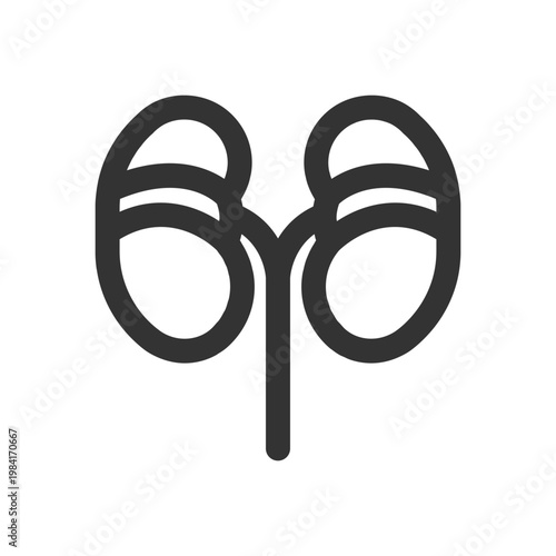 Outline icon of human kidneys, representing renal health and the urinary system