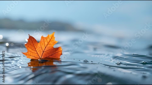 Orange maple leaf floating on calm water surface, creating ripples, with blurred background of trees and soft light enhancing the serene autumn atmosphere