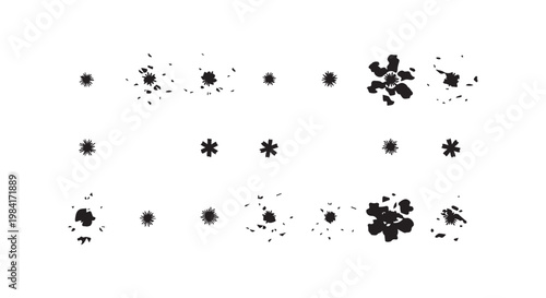 Animated sequence of flower blooming and bursting into petals in motion graphic style on white background.