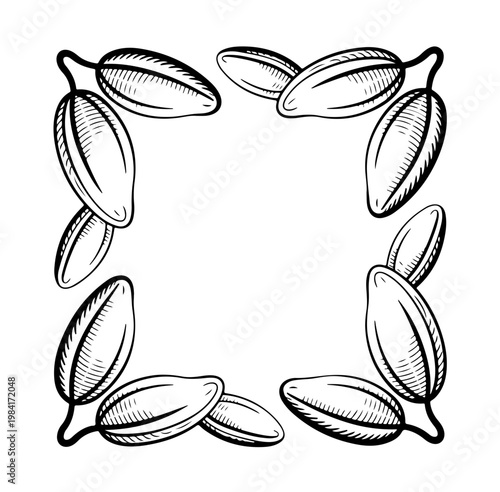 Cocoa design template vector illustration. Line art vintage sketches of cacao beans, nuts and plants, organic cocoa,
