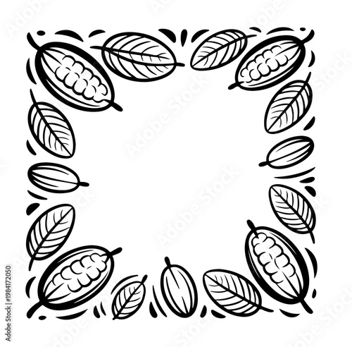 Cocoa design template vector illustration. Line art vintage sketches of cacao beans, nuts and plants, organic cocoa,
