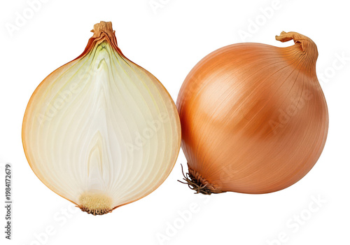 Two halved yellow onions displayed side by side with visible inner layers exposed