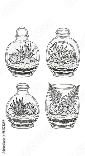 Hand-drawn black and white line art set featuring four different glass terrariums containing succulents, ferns, and cacti with layered soil, stones, and pebbles on white background.