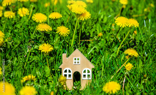 Wallpaper Mural The symbol of the house stands among the yellow dandelions
 Torontodigital.ca