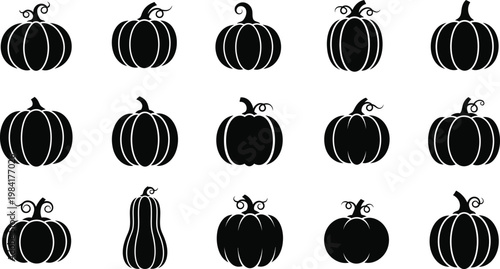 Collection of black pumpkin with curly stems on white background autumn